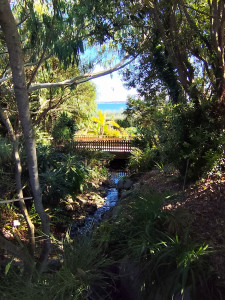 Photo de galerie - Sortie au jardin botanique avec une patiente en fauteuil roulant. 