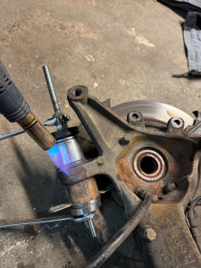 Photo de galerie - …