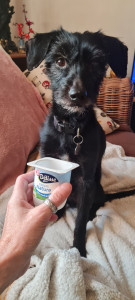 Photo de galerie - Petit déjeuner avec Speedy ??❤️