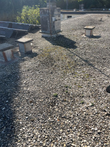 Photo de galerie - Couverture - Toiture