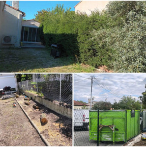 Photo de galerie - Abattage haie de cyprès 