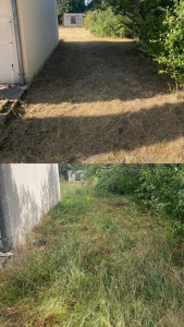 Photo de galerie - Paysagiste - Aménagement du jardin