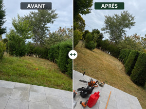Photo de galerie - Débroussaillage et taille de haie avant et après chantier réalisé sur Saint-Sever