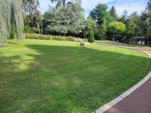 Photo de galerie - Tonte 