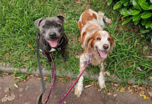 Photo de galerie - Avel et Jordy trop chou <3