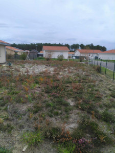 Photo de galerie - Paysagiste - Aménagement du jardin