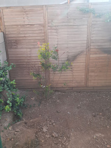 Photo de galerie - Pose de panneaux de bois , je réalise un travail soigné, solide et propre pour sécuriser et embellir votre jardin.