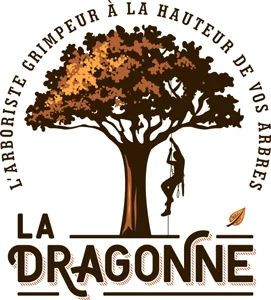 Photo de galerie - Service à la personne 