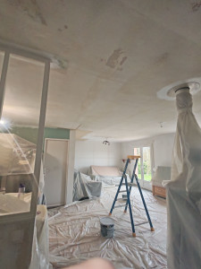 Photo de galerie - Plâtrerie - Murs - Plafonds
