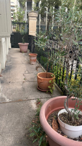 Photo de galerie - Jardinier
