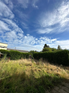 Photo de galerie - Paysagiste - Aménagement du jardin