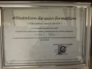 Photo de galerie - Attestation de formation 
