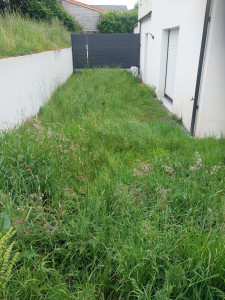 Photo de galerie - Tonte de pelouse - Débroussaillage