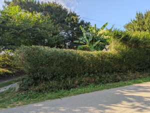 Photo de galerie - Jardinier