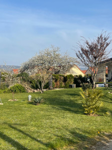 Photo de galerie - Abattage 