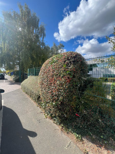 Photo de galerie - Taille 