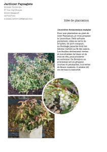 Photo de galerie - Fiche plantation pour terre de bruyère