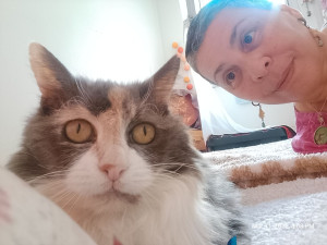 Photo de galerie - Partez à l'aise Blaise,
votre chat reste cool dans son royaume...je m'occupe de tout?