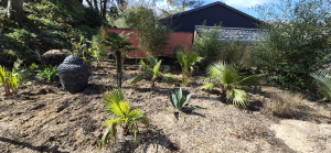 Photo de galerie - Paysagiste - Aménagement du jardin