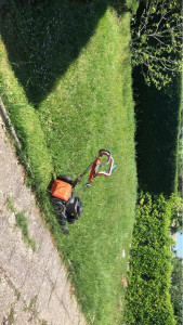 Photo de galerie - Tonte de pelouse pas entretenu pendant 2 ans 