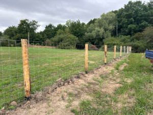 Photo de galerie - Clôture forestière 
