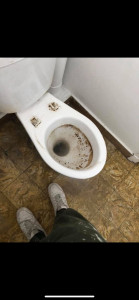 Photo de galerie - Nettoyage toilettes 