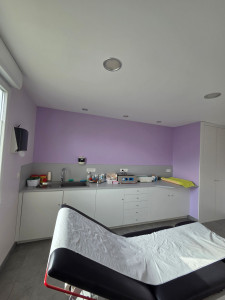 Photo de galerie - Peinture - Tapisserie