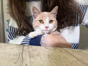 Photo de galerie - .