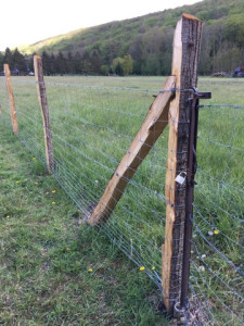 Photo de galerie - Clôture à mouton 