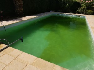 Photo de galerie - Entretien piscine