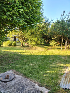 Photo de galerie - Tonte de pelouse 