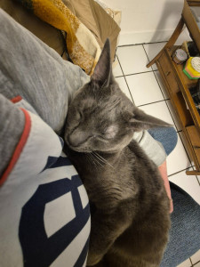 Photo de galerie - Après avoir mangé et beaucoup joué, Yûna s'endort dans les bras