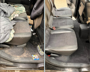 Photo de galerie - Nettoyage poils de chien avant / après 