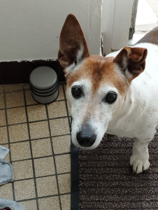 Photo de galerie - La mienne 13 ans 