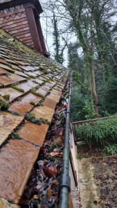 Photo de galerie - Nettoyer goudier