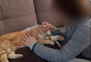 Photo de galerie - Garde chat