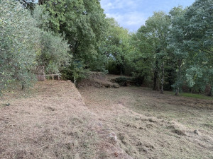 Photo de galerie - Ronciers et herbes hautes - Après