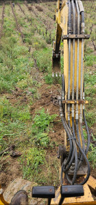Photo de galerie - Arrachage Vignes 