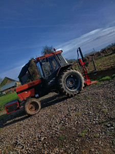 Photo de galerie - Elagage et coupe d'arbres