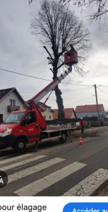 Photo de galerie - élagage 