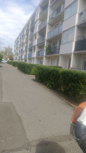 Photo de galerie - Taille ,débroussaillage ,tonte 
