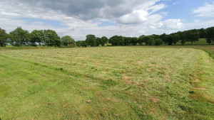 Photo de galerie - Broyage de prairie 