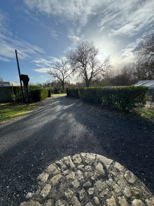 Photo de galerie - Entretien de la haie et de l’entrée pour ma cliente. 