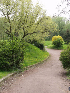 Photo de galerie - La coupe rafraîchissante 