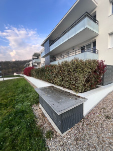 Photo de galerie - Taille de haie vive