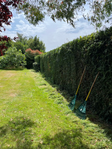 Photo de galerie - Taille de haie réalisé par Loyd Horn 