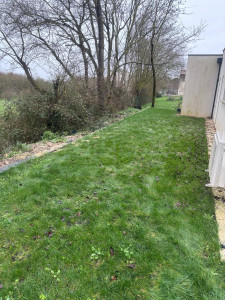 Photo de galerie - Abattage, après