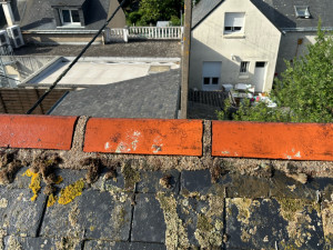 Photo de galerie - Nettoyage de la toiture