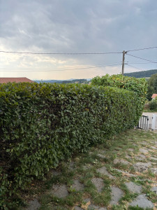 Photo de galerie - Après 