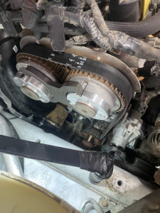 Photo de galerie - Courroie distribution 